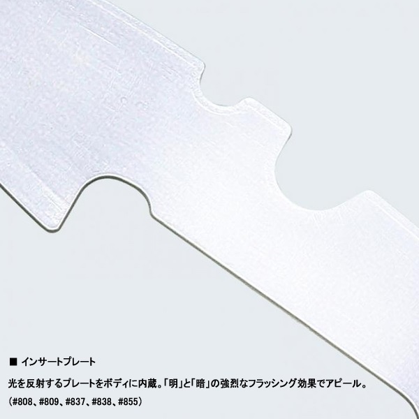 アマゾン　ボーンモデル